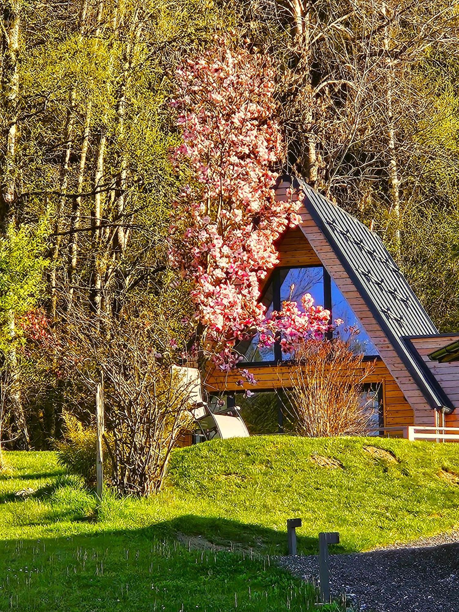 Mountains & Lakes - Chaletdorf & Appartements Villach Buitenkant foto